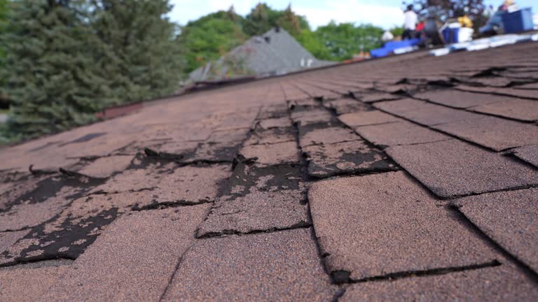Professional Roofing Service in Bromley, KY