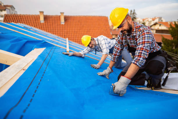 Roof Insulation in Bromley, KY