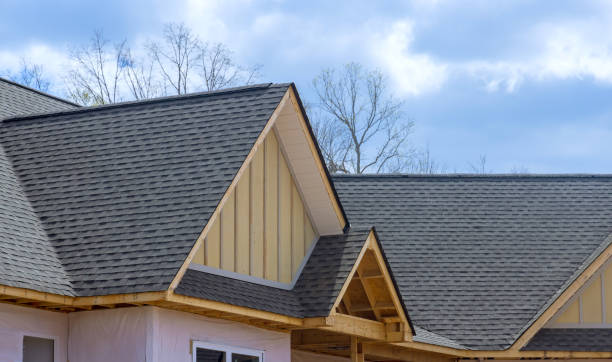 Best Asphalt Shingle Roofing  in Bromley, KY