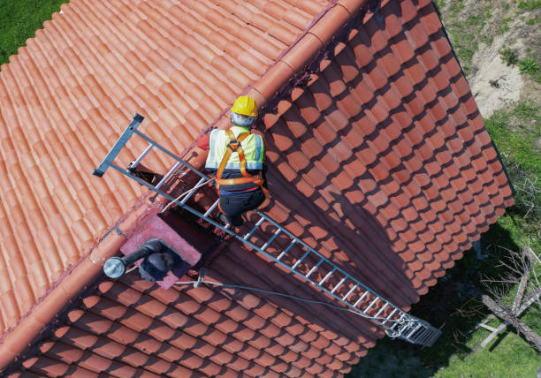 Best Sheet Metal Roofing  in Bromley, KY