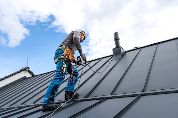 Best Roof Insulation Installation  in Bromley, KY